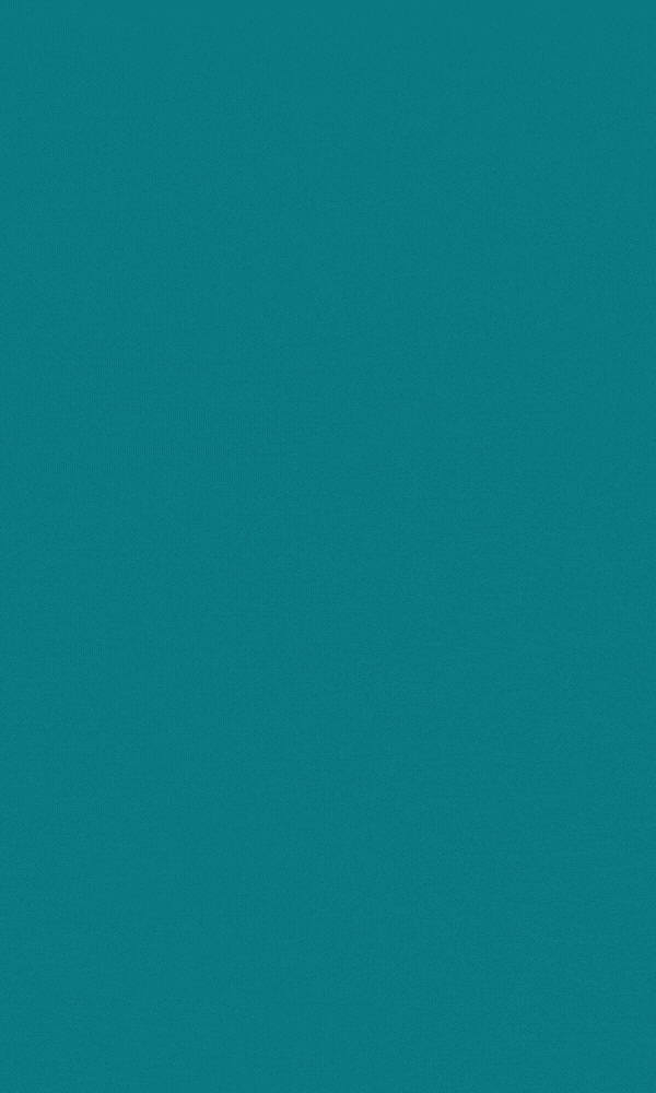 정책자금 안내 배너